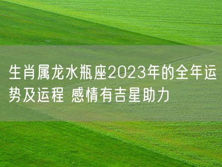 生肖属龙水瓶座2023年的全年运势及运程 感情有吉星助力(图1)