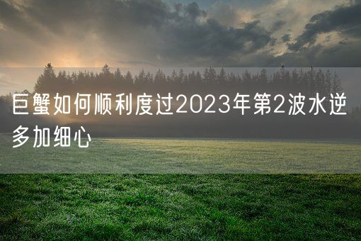 巨蟹如何顺利度过2023年第2波水逆 多加细心(图1) 巨蟹如何顺利度过2023年第2波水逆 多加细心(图1)