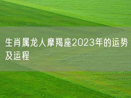 生肖属龙人摩羯座2023年的运势及运程(图1)