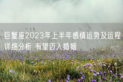 巨蟹座2023年上半年感情运势及运程详细分析 有望迈入婚姻(图1) 巨蟹座2023年上半年感情运势及运程详细分析 有望迈入婚姻(图1)