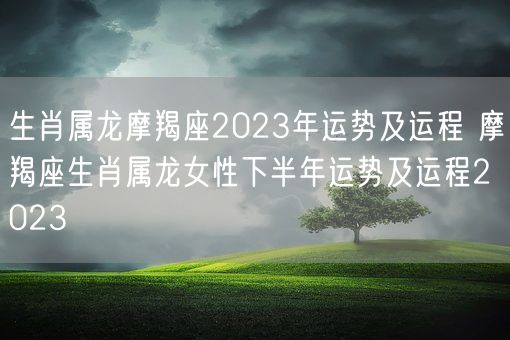 生肖属龙摩羯座2023年运势及运程 摩羯座生肖属龙女性下半年运势及运程2023(图1)