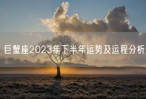 巨蟹座2023年下半年运势及运程分析(图1) 巨蟹座2023年下半年运势及运程分析(图1)
