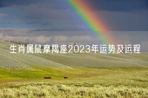 生肖属鼠摩羯座2023年运势及运程(图1)