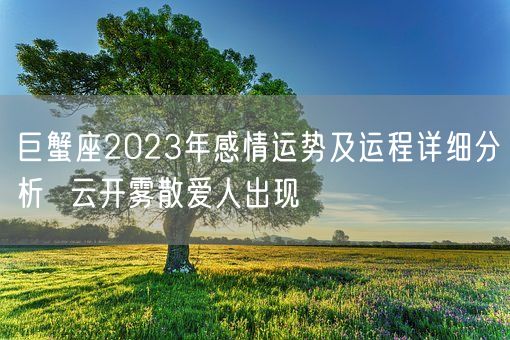 巨蟹座2023年感情运势及运程详细分析  云开雾散爱人出现(图1) 巨蟹座2023年感情运势及运程详细分析  云开雾散爱人出现(图1)