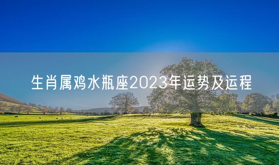 生肖属鸡水瓶座2023年运势及运程(图1)