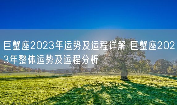 巨蟹座2023年运势及运程详解 巨蟹座2023年整体运势及运程分析(图1) 巨蟹座2023年运势及运程详解 巨蟹座2023年整体运势及运程分析(图1)
