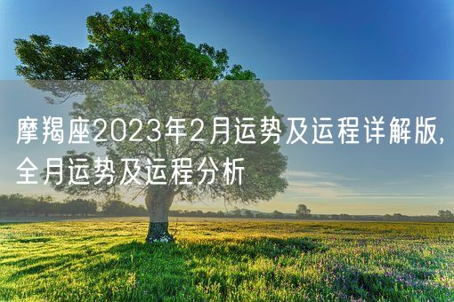 摩羯座2023年2月运势及运程详解版,全月运势及运程分析(图1)