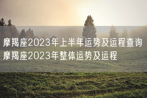 摩羯座2023年上半年运势及运程查询 摩羯座2023年整体运势及运程(图1)