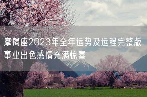 摩羯座2023年全年运势及运程完整版 事业出色感情充满惊喜(图1)