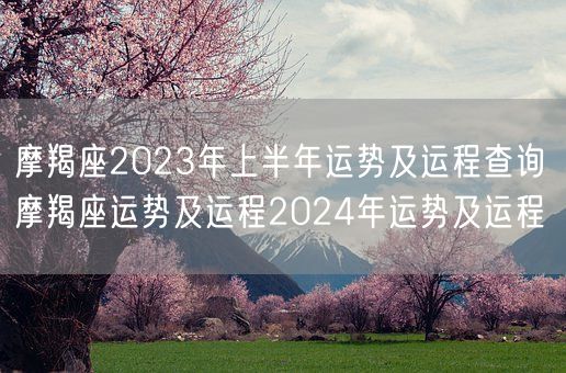 摩羯座2023年上半年运势及运程查询 摩羯座运势及运程2024年运势及运程(图1)