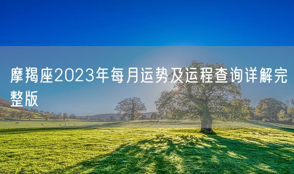 摩羯座2023年每月运势及运程查询详解完整版(图1)