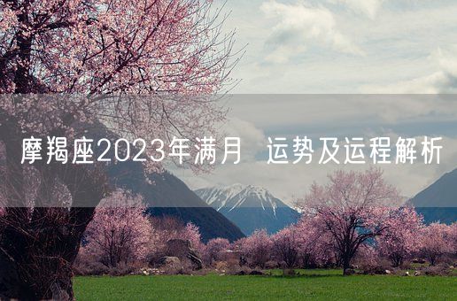 摩羯座2023年满月  运势及运程解析(图1)