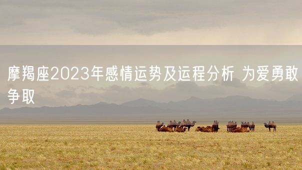 摩羯座2023年感情运势及运程分析 为爱勇敢争取(图1)