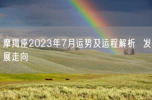 摩羯座2023年7月运势及运程解析  发展走向(图1)