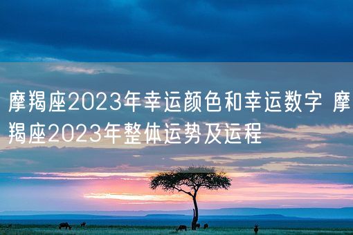 摩羯座2023年幸运颜色和幸运数字 摩羯座2023年整体运势及运程(图1)