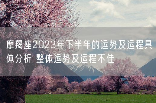 摩羯座2023年下半年的运势及运程具体分析 整体运势及运程不佳(图1)