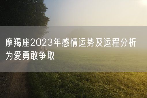 摩羯座2023年感情运势及运程分析  为爱勇敢争取(图1)