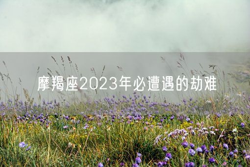 摩羯座2023年必遭遇的劫难(图1)