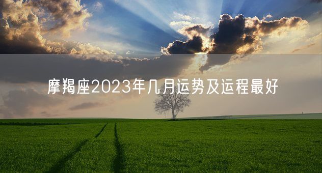 摩羯座2023年几月运势及运程最好(图1)