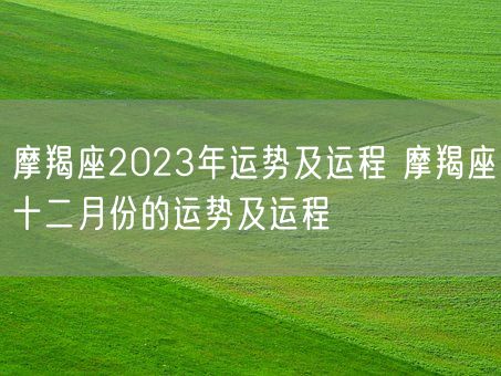 摩羯座2023年运势及运程 摩羯座十二月份的运势及运程(图1)