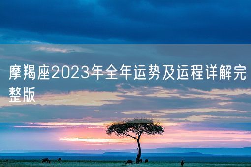 摩羯座2023年全年运势及运程详解完整版(图1)