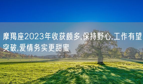 摩羯座2023年收获颇多,保持野心,工作有望突破,爱情务实更甜蜜(图1)