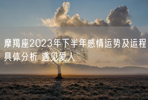 摩羯座2023年下半年感情运势及运程具体分析 遇见爱人(图1)