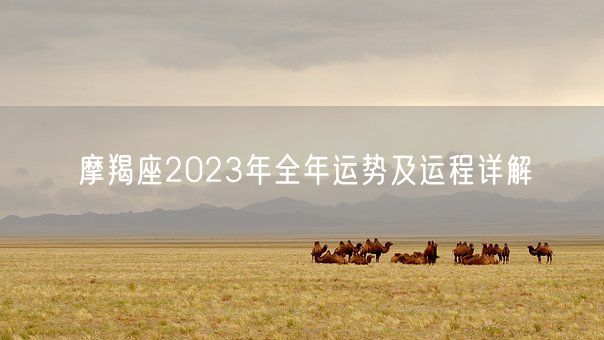 摩羯座2023年全年运势及运程详解(图1)