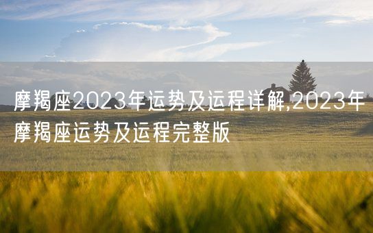 摩羯座2023年运势及运程详解,2023年摩羯座运势及运程完整版(图1)