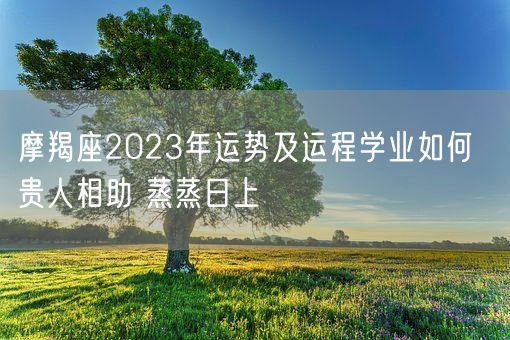 摩羯座2023年运势及运程学业如何  贵人相助 蒸蒸日上(图1)