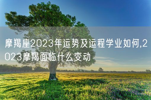 摩羯座2023年运势及运程学业如何,2023摩羯面临什么变动(图1)