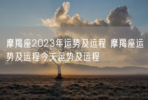 摩羯座2023年运势及运程 摩羯座运势及运程今天运势及运程(图1)