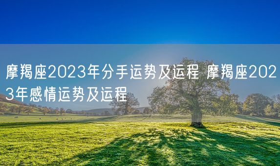 摩羯座2023年分手运势及运程 摩羯座2023年感情运势及运程(图1)