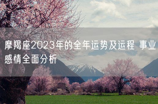 摩羯座2023年的全年运势及运程 事业感情全面分析(图1)