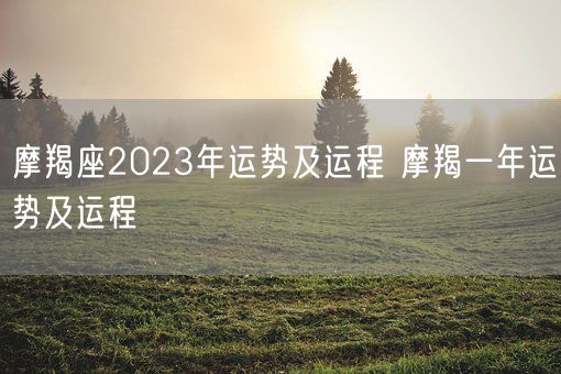 摩羯座2023年运势及运程 摩羯一年运势及运程(图1)