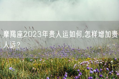 摩羯座2023年贵人运如何,怎样增加贵人运？(图1)