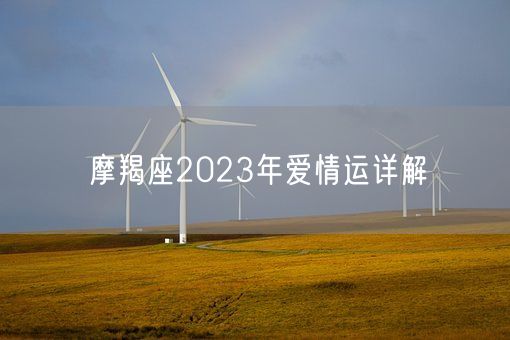 摩羯座2023年爱情运详解(图1)