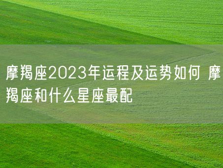 摩羯座2023年运程及运势如何 摩羯座和什么星座最配(图1)