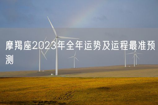 摩羯座2023年全年运势及运程最准预测(图1)