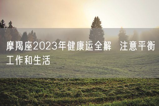 摩羯座2023年健康运全解  注意平衡工作和生活(图1)