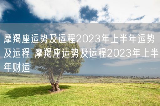 摩羯座运势及运程2023年上半年运势及运程 摩羯座运势及运程2023年上半年财运(图1)