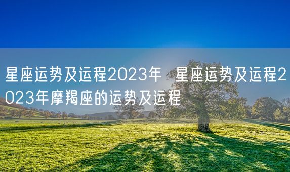 星座运势及运程2023年  星座运势及运程2023年摩羯座的运势及运程 (图1)