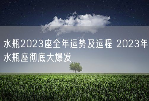 水瓶2023座全年运势及运程 2023年水瓶座彻底大爆发 (图1)