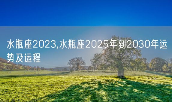 水瓶座2023,水瓶座2025年到2030年运势及运程(图1) 水瓶座2023,水瓶座2025年到2030年运势及运程(图1)