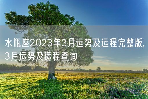 水瓶座2023年3月运势及运程完整版,3月运势及运程查询(图1) 水瓶座2023年3月运势及运程完整版,3月运势及运程查询(图1)