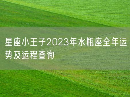 星座小王子2023年水瓶座全年运势及运程查询(图1) 星座小王子2023年水瓶座全年运势及运程查询(图1)
