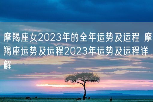 摩羯座女2023年的全年运势及运程 摩羯座运势及运程2023年运势及运程详解(图1)