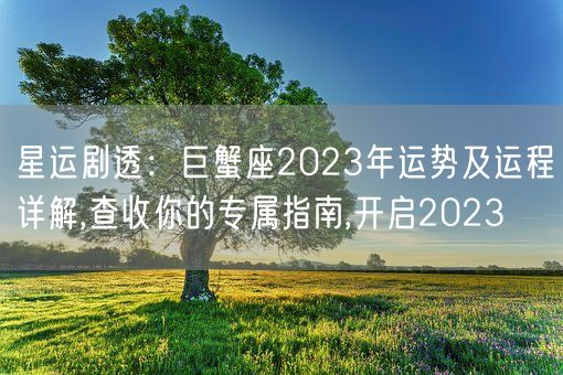 星运剧透:巨蟹座2023年运势及运程详解,查收你的专属指南,开启2023(图1) 星运剧透:巨蟹座2023年运势及运程详解,查收你的专属指南,开启2023(图1)