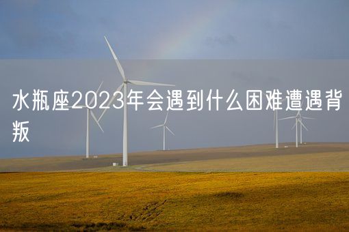 水瓶座2023年会遇到什么困难遭遇背叛(图1)