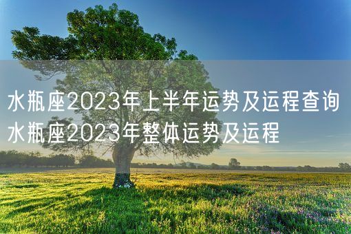 水瓶座2023年上半年运势及运程查询 水瓶座2023年整体运势及运程(图1) 水瓶座2023年上半年运势及运程查询 水瓶座2023年整体运势及运程(图1)